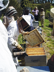 (Re)-Développer le savois-vivre ensemble avec les ruchers partagés
