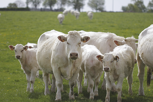 FICHE : Critères d'évaluation du bien-être animal