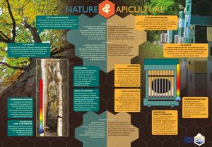 Infographie - Nature et Apiculture