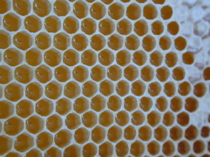 Travailler le miel
