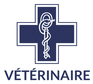 L'apithèrapie en médecine vétérinaire