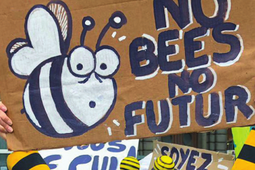 Manifeste : L'Union européenne et les pollinisateurs 