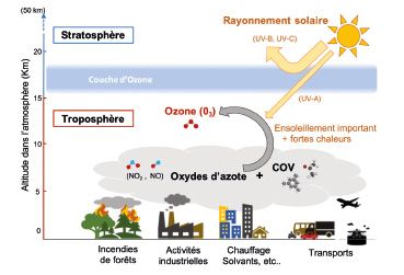 Ozone - <p>Fig.1 : Répartition et formation de l'ozone dans les différentes couches de l'atmosphère</p>