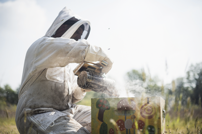 Tout miser sur une apiculture qui rassemble : un défi relevé par le projet solidaire du Rucher du Champoivre