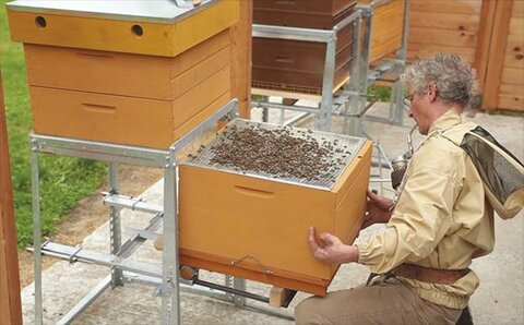 Des ruches poids plumes Pierre DEBRICHY