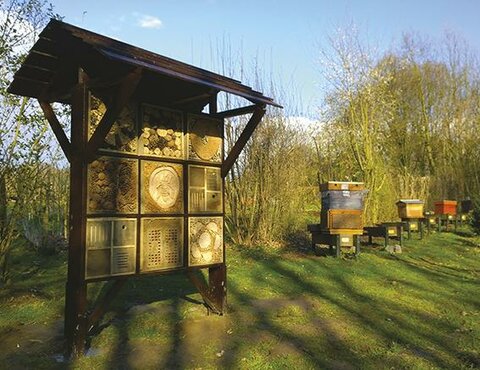 CONSEILS : L'apiculture en ville, un engagement social et environnemental Yves VAN PARYS - Agnès FAYET