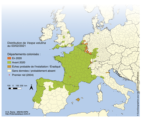 Carte de la distribution de {Vespa velutina} en Europe au 03/02/2021 - ©Q.Rome – <span class="caps">MNHN</span>-<span class="caps">INPN</span> (1)
